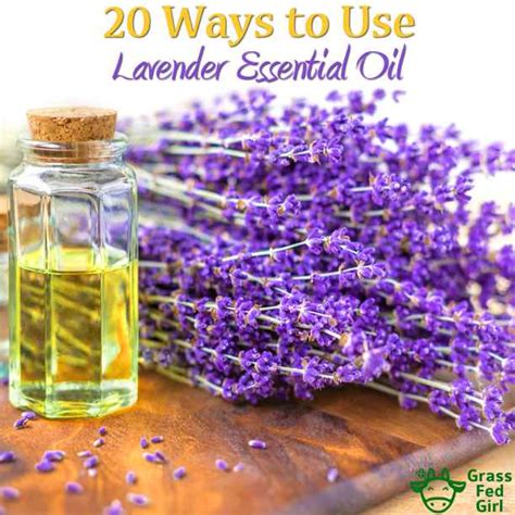 20 Ways To Use Lavender From Young Living Essential Oils
