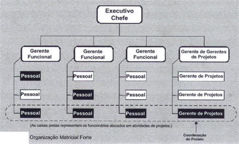 Organograma Matricial Pmi 2004 Download Scientific Diagram