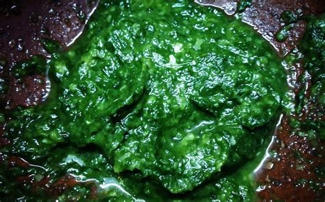 Always buy dark green colour spinach. Pasalai Keerai Masiyal Recipe-Palak Masiyal | Tasted Recipes