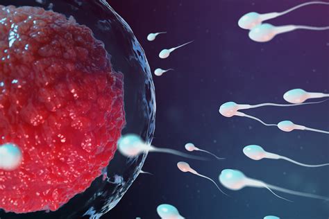 Sperma Was du über das Ejakulat des Mannes wissen musst 24Schwanger de