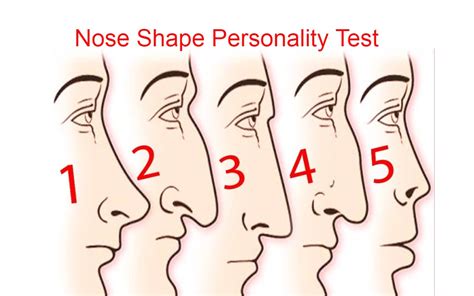 आपके नाक का आकार क्या बताता है आपकी पसर्नालिटी के बारे में स्वभाव