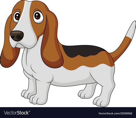 Cartoon Dog Basset Hound Isolated On White Vector Image