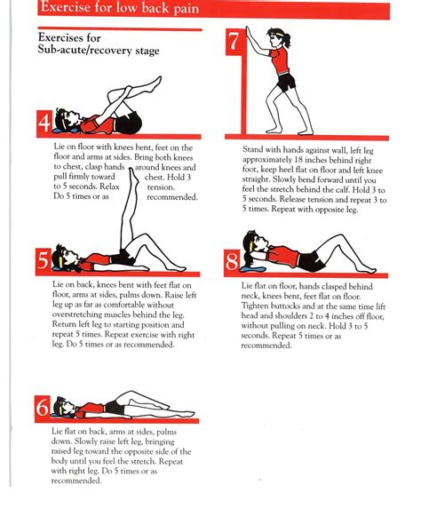 Physio Exercises For Lower Back Pain Uk Phyqas