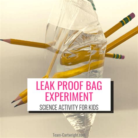 Leak Proof Bag Experiment Team Cartwright