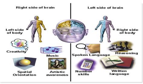 Beda otak kiri dan otak kanan secara umum terletak pada dominasi hal yang dipikirkan. Tes Kecerdasan Otak Kanan Dan Kiri: April 2014