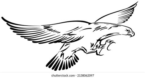 Black Eagle Silhouette Design Drawing Stock Vector Royalty Free