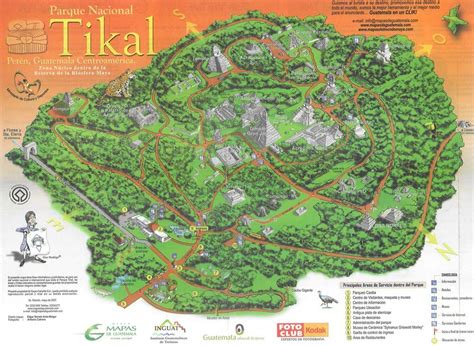 3 D Site Map Of Tikal Tikal Mayan Ruins Ancient Cities