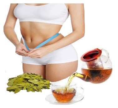 Maybe you would like to learn more about one of these? Rumah Pelangsing: TEH DAUN JATI CINA ===PENURUN BERAT BADAN===