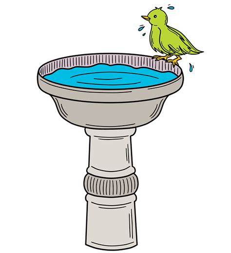 Download Bird Bath Bird Toilet Royalty Free Stock Illustration Image
