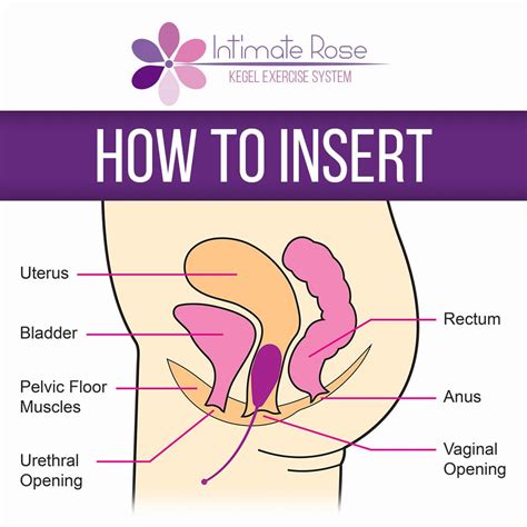 Intimate Rose Kegel Exercise And Vaginal Weights
