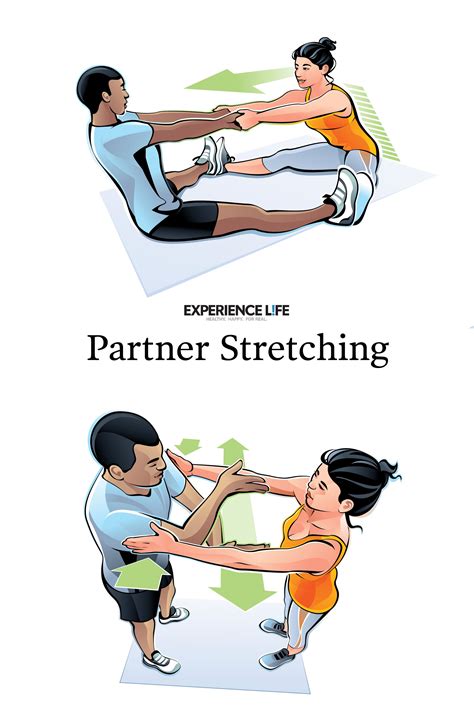 Partner Stretching Partner Stretches Fun Workouts Workout