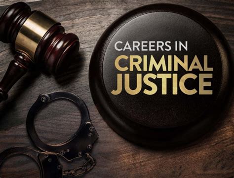 Careers In Criminal Justice Edynamic Learning