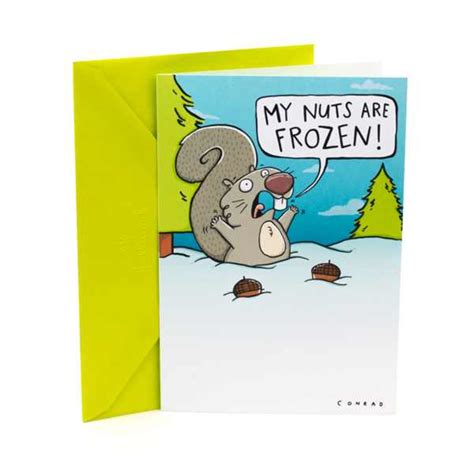 Hallmark Shoebox Funny Christmas Card Squirrel Cartoon Walmart