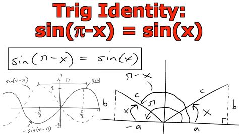What is a besetting sin to one person may not trouble Trigonometric Identity: sin(π-x) = sin(x) - YouTube