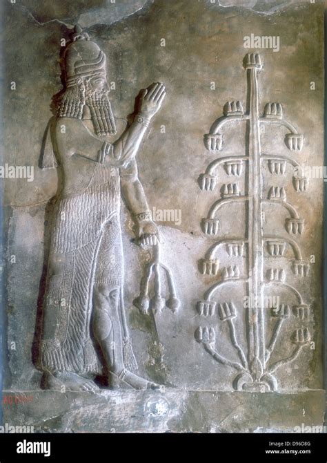 Sargon I King Of Mesopotamia Who Reigned C2334 C2279 BC Founder Of