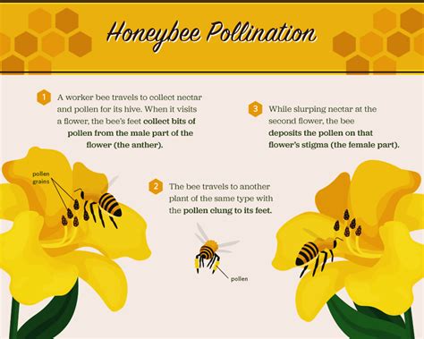 Maybe you would like to learn more about one of these? More Than Honey: Honeybees and Our Food System | Food & Wine