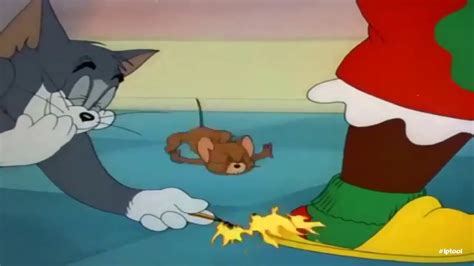 Tom And Jerry Drunk Tom Youtube