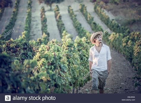 Man Working In Vineyard Hi Res Stock Photography And Images Alamy