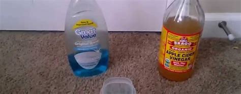How To Get Rid Of Gnats In The Kitchen 1280x500 