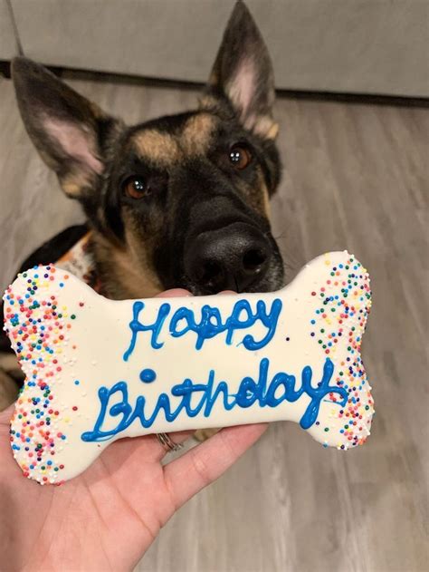 Happy Birthday Bone Dog Treat Dog Birthday Dog Treats