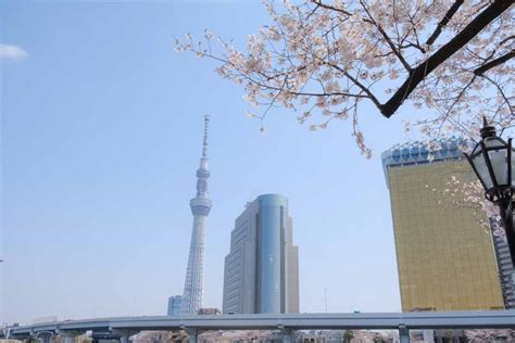 Where To Spend Your Cherry Blossom Festival Expats Holidays