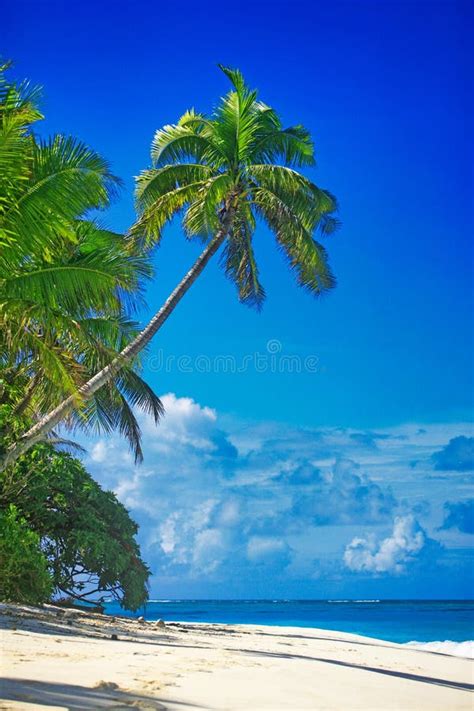 Tropical Island With A Paradise Beach And Palm Trees Stock Photo