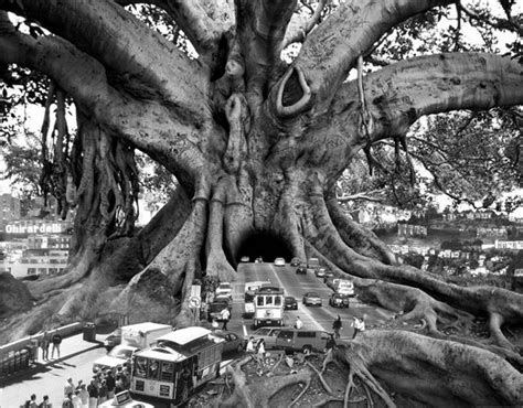 Whimsically Surreal Photo Montages By Thomas Barbéy