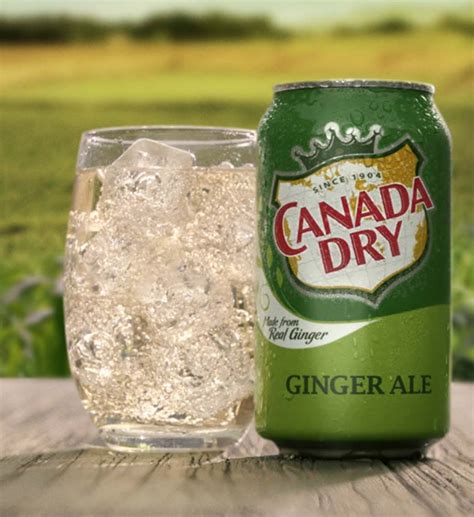 Woman Sues Canada Dry Ginger Ale Because It Doesnt Actually Contain Real Ginger