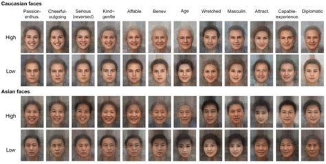 Figure S Asian And Caucasian Face Averages Made From The Faces Download Scientific Diagram