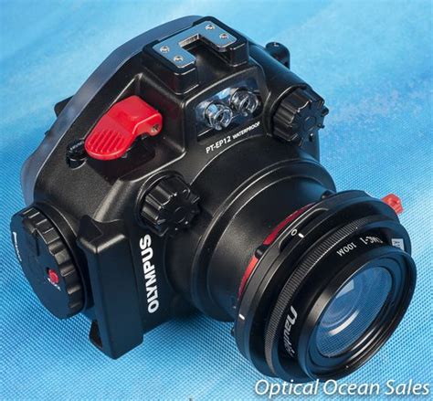 Underwater Photography News And Reviews From Optical Ocean