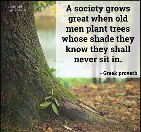 Quote A Society Grows Great When Old Men Plant Trees Whose Shade They