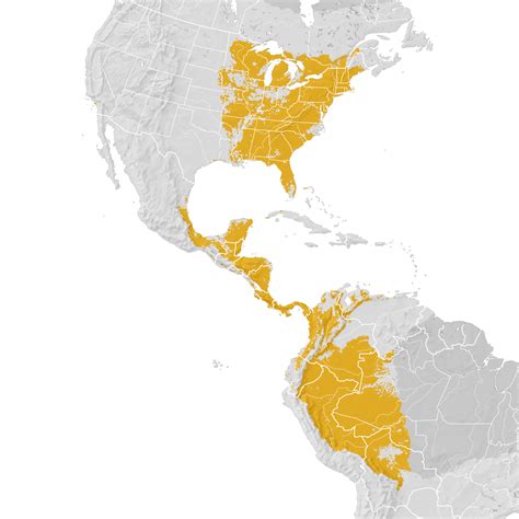 Scarlet Tanager Range Map Post Breeding Migration Ebird Status And