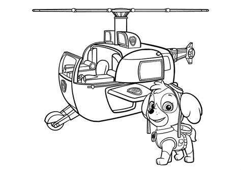 More galery vaiana ausmalbilder kostenlos malvorlagen windowcolor zum drucken ausmalbilder zum drucken f r jungs superb paw patrol sky ausmalbild Ausmalbilder Paw Patrol. 70 Bilder. Kostenlos drucken