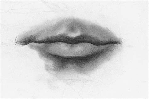 Drawing Lips Male Demo Step Lee Hammond How To Draw Facial Features For Beginners