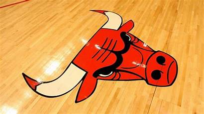 Bulls Chicago Court Clipart Parker Gm Weird