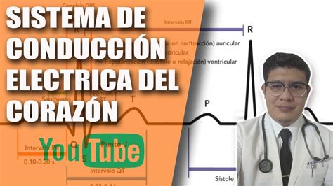 2 Sistema De ConducciÓn ElÉctrica Del CorazÓn Fisiología