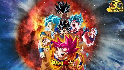 Goku Super Saiyan Evolution Dragon Ball Dbs