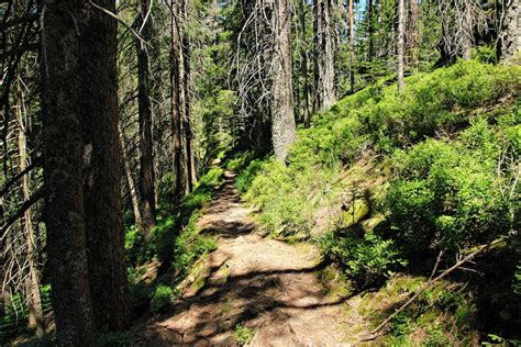 10 Most Beautiful National Parks In Germany With Photos