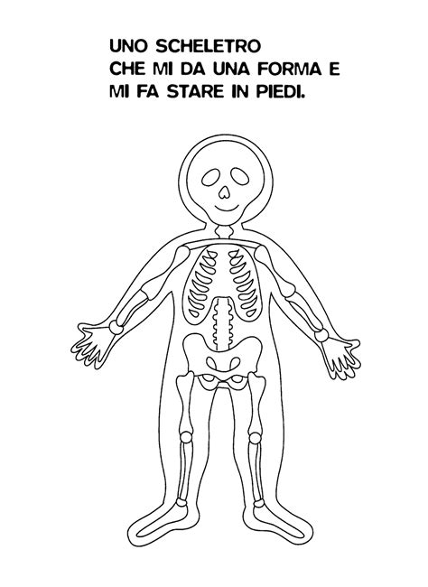 Visualizza altre idee su infanzia, corpo umano, le idee della scuola. La maestra Linda: Io scopro il mio corpo
