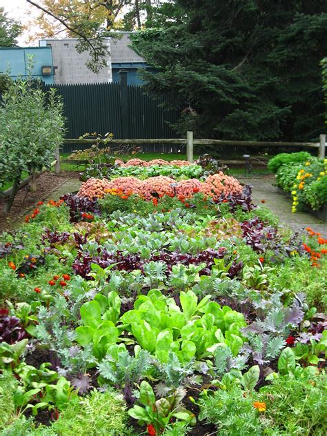 24 Marvelous Fall Container Garden Ideas For Garden Inspiration Fall