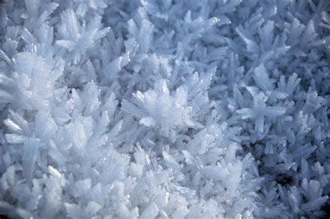 Frost And Snow Ice Crystals Stock Photo Image Of Temperature Frozen