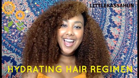 how to make your wash n go last my hydrating natural hair regimen youtube