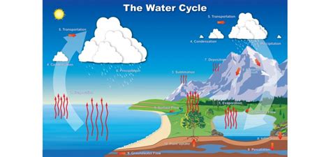 Water Cycle Colorado Water Knowledge Colorado State University