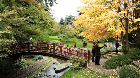 Vente de produits pour le jardin japonais. L'automne aux jardins Albert Kahn - Un petit pois sur dix...