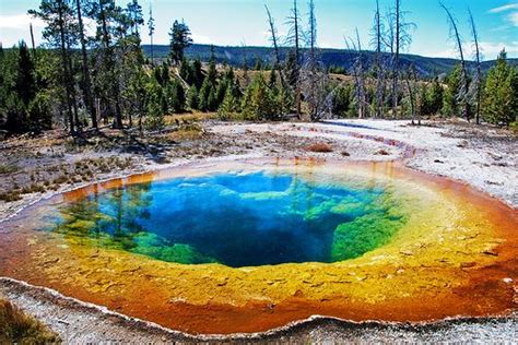 Morning Glory Pool Is Considered The Most Beautiful Pool And A Must See