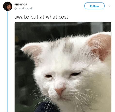 16 Animal Tweets That Made Us Laugh This Week March 25 2019 Funny