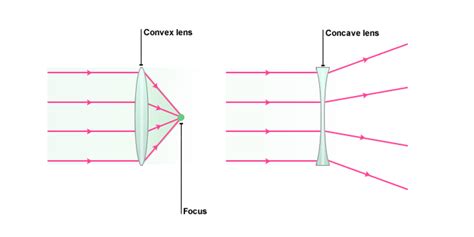 But before i answer them, let me first ask. Convex Lens - Definition & Uses | Difference Between ...