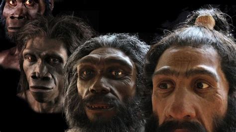 Our Ancestors May Have Evolved The Ability To Talk 27 Million Years