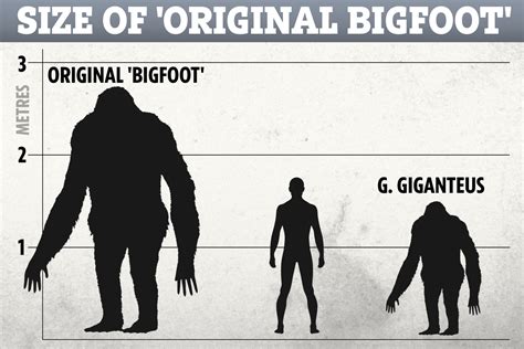 Original Bigfoot Was Giant Ape Twice The Size Of A Human That Roamed