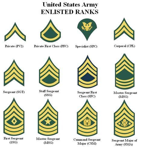 √ Highest Rank In American Army Leutgard